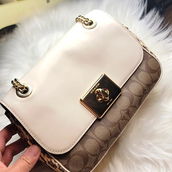 Coach - Picture 2 of 12